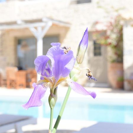 Laini Luxury Suites Pombia Zewnętrze zdjęcie