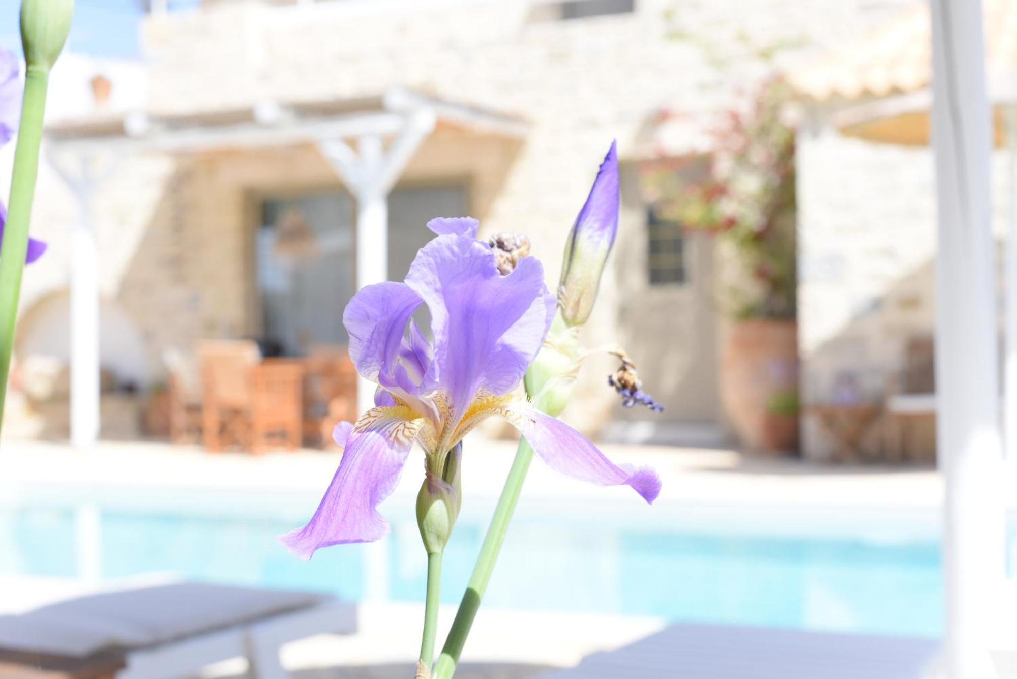 Laini Luxury Suites Pombia Zewnętrze zdjęcie